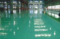 1536293342541339.jpg 810a6b9a-bc27-4c91-987d-71826d9569ea.jpg